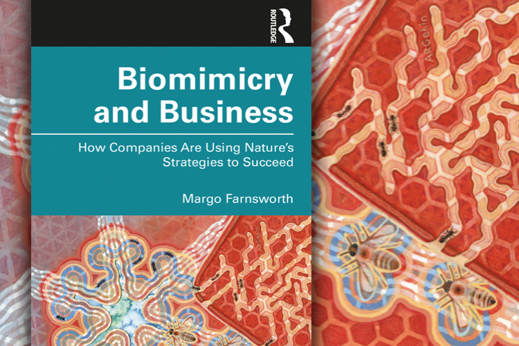 Biomimicry and Business-How Companies are Using Natures Strategies-by Margo Farnsworth