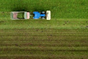 Can We Pay Farmers to Store Carbon Emissions - by Marcello Rossi-CCM