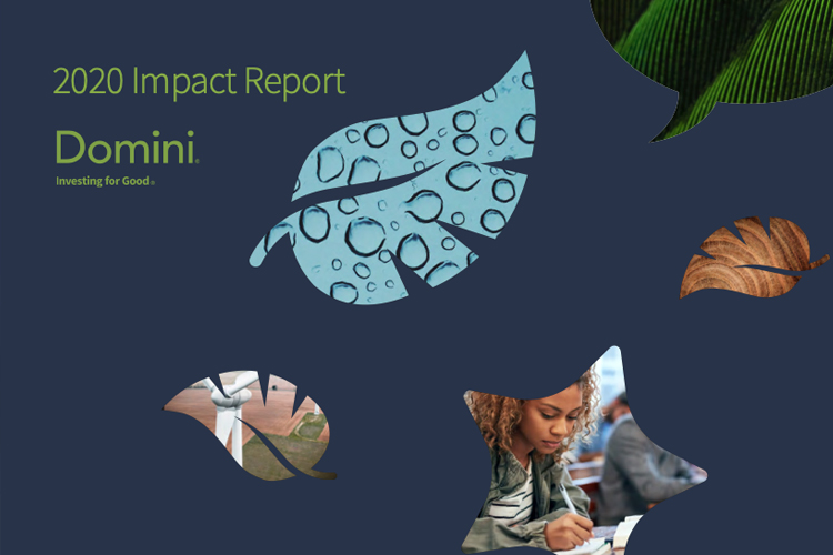 Domini 2020 Impact Report-GreenMoney