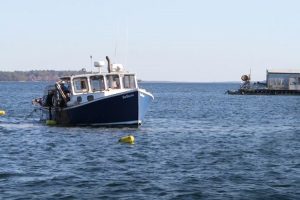 Climate Positive Financing in Sea Farming - by Leah B Thibault CEI