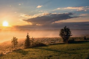 Green Bond Pioneers Create Advisory Firm ImpactARC