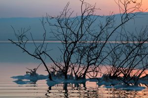 Navigating the Canals of Water Investing by Garvin Jabusch and Betsy Moszeter Green Alpha Advisors