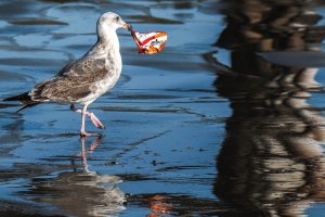 We Cant Afford Polluted Water by Gloria Reuben Waterkeeper Alliance