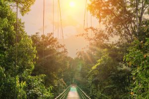 Investing in the Transition to a More Sustainable Economy by Joe Keefe
