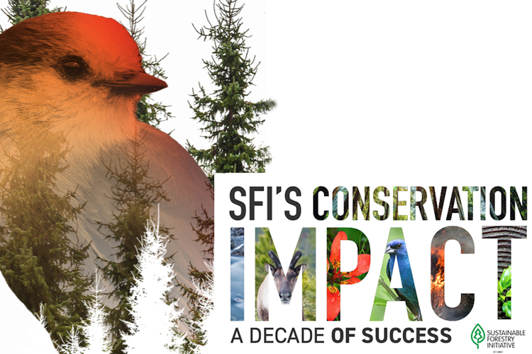 Sustainable Forestry Initiative-Conservation Iimpact-A decade of success