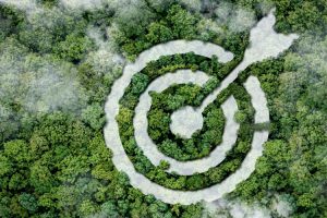 The year ahead in ESG- assurance, transition finance and natural capital