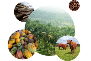 FLINTpro Launches Biodiversity Module on Regulatory Financial Risk for Landowners and Investors