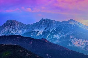 Parnassus Investments Debuts Two Active ETFs