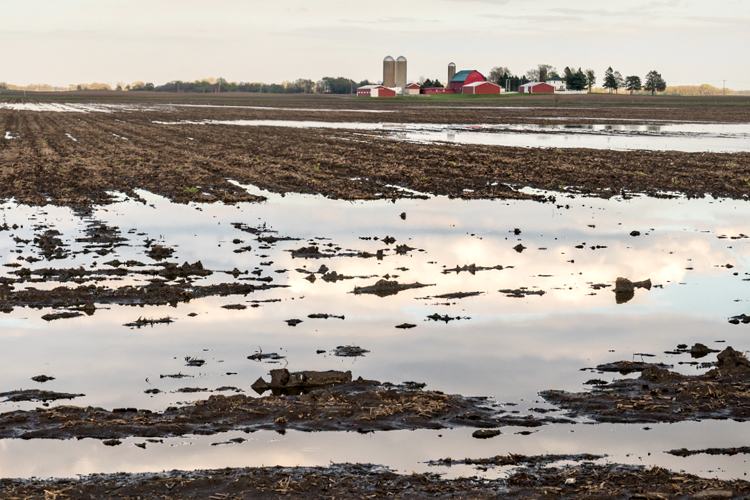 Extreme weather, tariffs, DOGE, frozen funds, and inflation threaten America's beleaguered farmers-John Howell-CCM