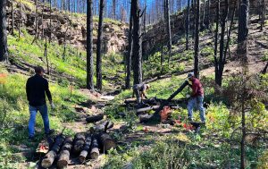 Conservation Finance as Food System Infrastructure